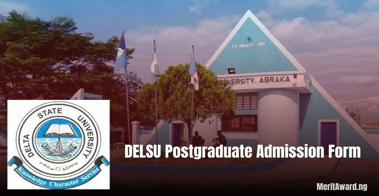 DELSU Postgraduate Admission Form