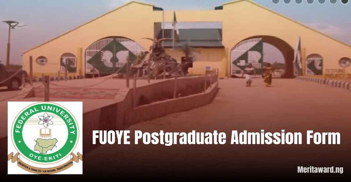 FUOYE Postgraduate Admission Form